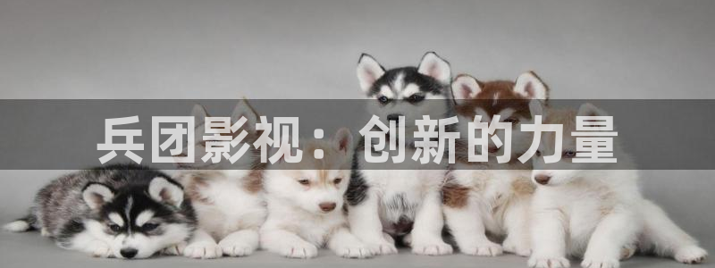 下載絲瓜視頻極速版：兵團影視：創(chuàng)新的力量