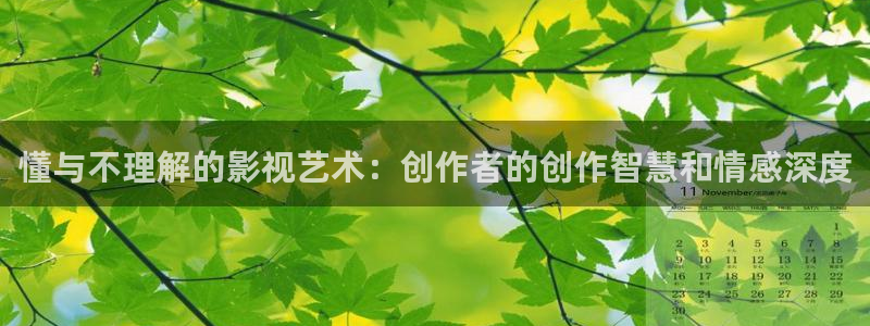 69影院極速版在線觀看：懂與不理解的影視藝術：創(chuàng)作者的創(chuàng)作智慧和情感深度