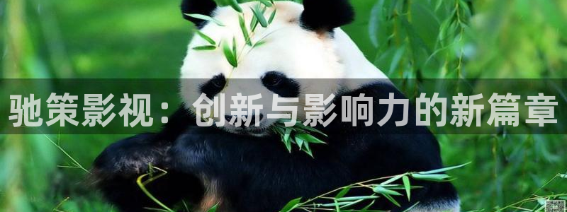 極速影院網(wǎng)站：馳策影視：創(chuàng)新與影響力的新篇章