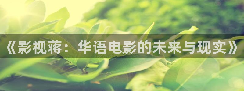 大秦賦極速影院：《影視蔣：華語電影的未來與現實》